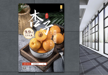 杏子水果摄影图海报图片