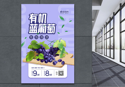 有机蓝葡萄促销宣传海报高清图片