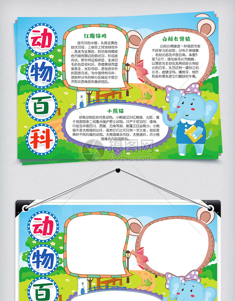 动物百科小知识手抄报小报