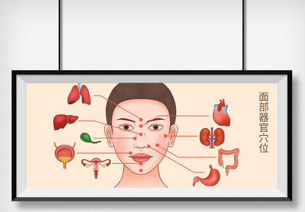 面部穴位器官科普医疗插画高清图片