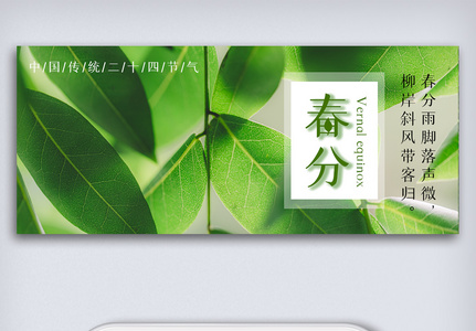 绿色清新中国传统二十四节气春分微信首图图片