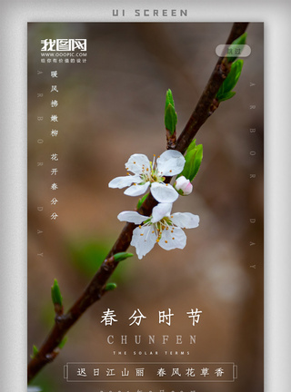 绿色清新创意花朵传统二十四节气春分海报图片