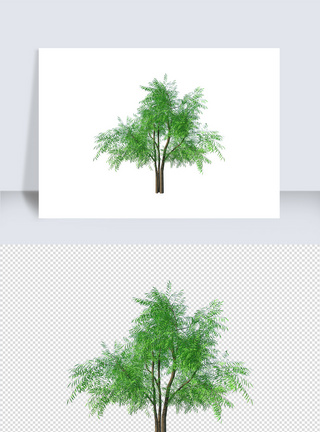 绿色草木植物su模型图片