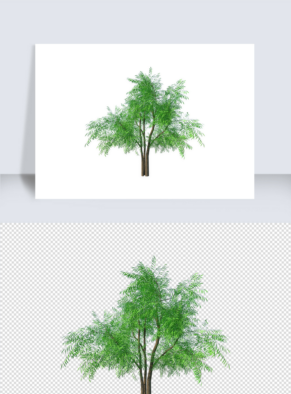 草图植物素材图片 草图植物素材素材 草图植物素材高清图片 摄图网图片下载