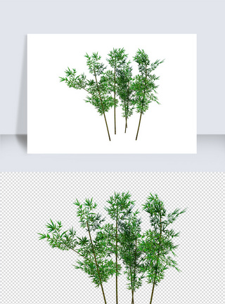 绿色草木植物su模型图片