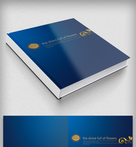 简约时尚宣传册蓝色企业画册设计图片