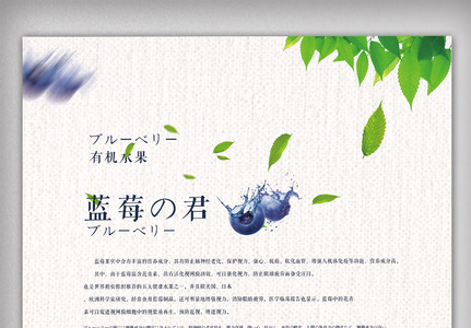 创意日式风格蓝莓水果户外海报图片