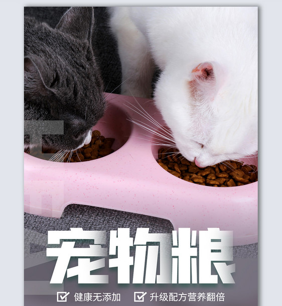 猫粮创意摄影图海报模板设计图片