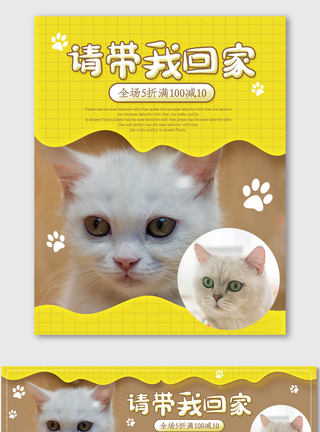 时尚萌宠海报电商拼图宠物猫咪促销模版图片