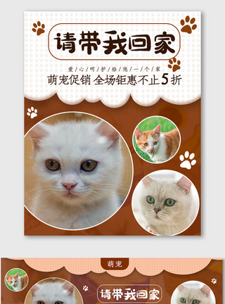 时尚萌宠海报电商拼图宠物猫咪促销banner图片