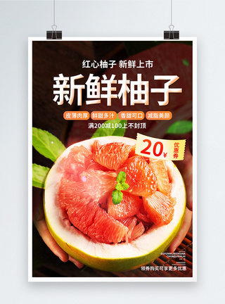 新鲜柚子上市促销宣传海报图片