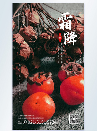 霜降红彤彤的小柿子摄影海报图片