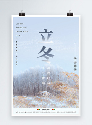 乌桕林简约写实风立冬节气海报模板