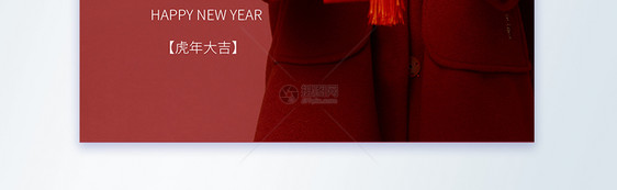 2022虎年新年摄影图海报图片