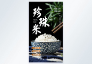 珍珠米大米五谷杂粮摄影图海报图片