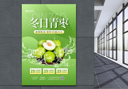 绿色冬日青枣水果促销海报图片