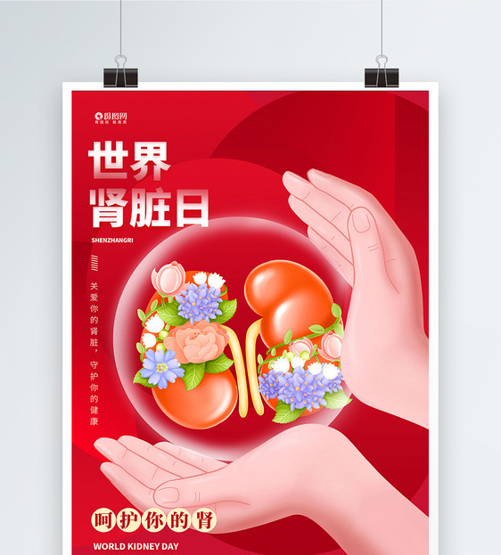 世界肾脏日宣传海报图片