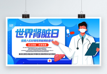 蓝色插画医疗世界肾脏日宣传展板高清图片