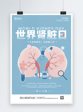 器官组织蓝色背景扁平风世界肾脏日海报模板