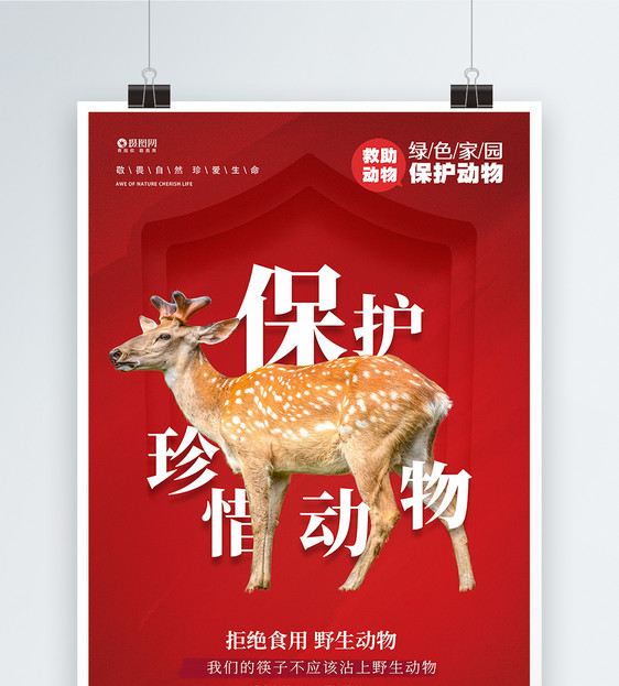 珍惜动物保护日宣传海报图片