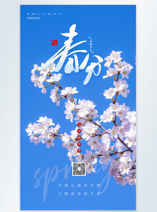 传统二十四节气春分摄影图海报图片
