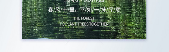 世界森林日摄影图海报图片