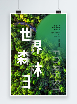 大森林简约时尚大气世界森林日海报模板