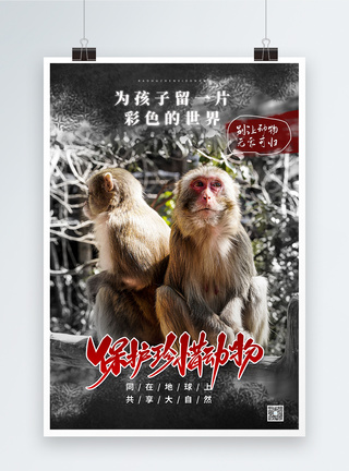 猴子保护珍惜动物公益宣传海报模板