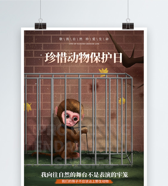 简约国际珍稀动物保护日海报图片