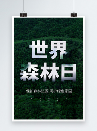 大字报世界森林日公益宣传海报图片