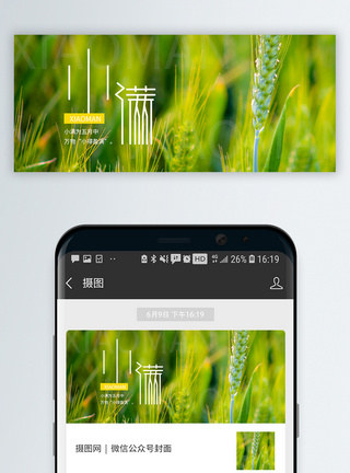 二十四节气小满微信公众号封面模板