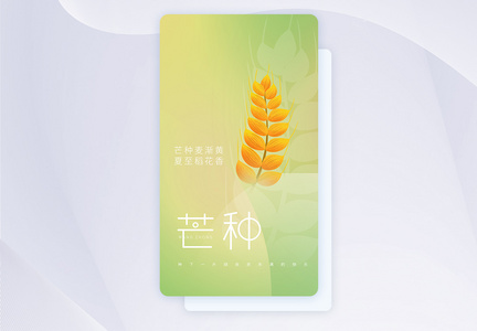 芒种节气APP闪屏页设计图片