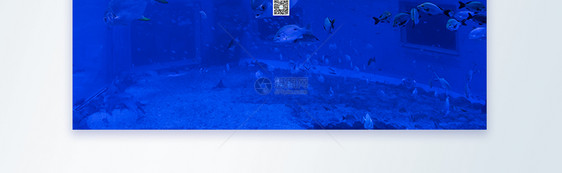 蓝色世界海洋日摄影图海报图片