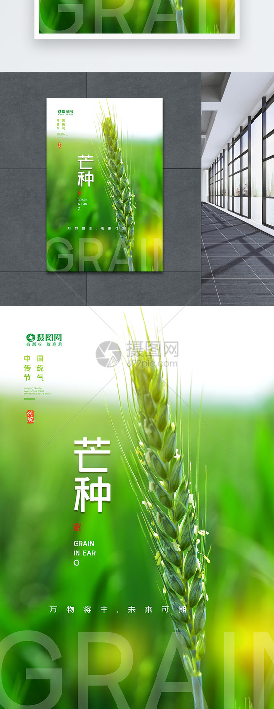 绿色芒种麦子海报图片