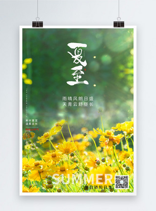 夏至传统节日写实风夏至节气海报模板