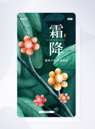 唯美霜降UI设计APP闪屏页设计图片