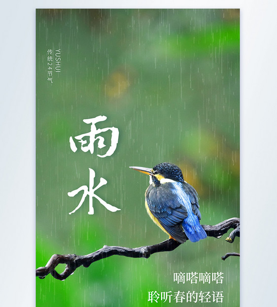 雨水节气摄影图海报图片