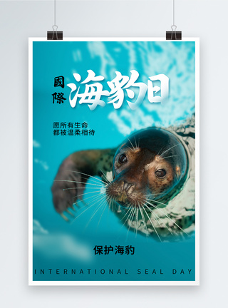 哺乳动物简约时尚国际海豹日海报模板