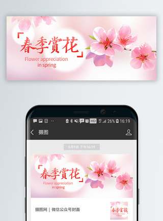 春季赏花公众号封面配图模板