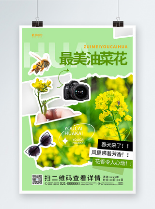 绿色拼贴风唯美油菜花宣传海报设计图片
