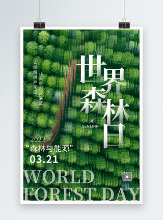 大森林简约大气世界森林日海报模板