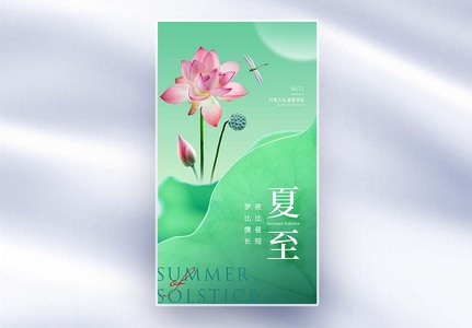 大气简约夏至节气海报图片