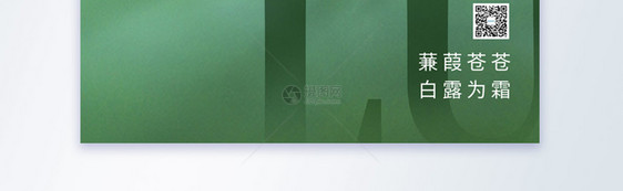 绿色清新白露节气摄影图海报图片