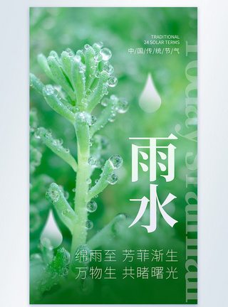 雨水节气摄影图海报图片