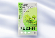 世界森林日图片