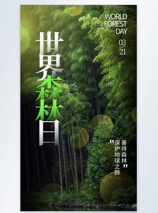 雨中树林绿色自然世界森林日摄影图海报模板