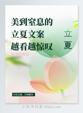 二十四节气立夏小红书封面图片