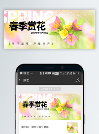 济州岛樱花春季赏花微信封面设计模板
