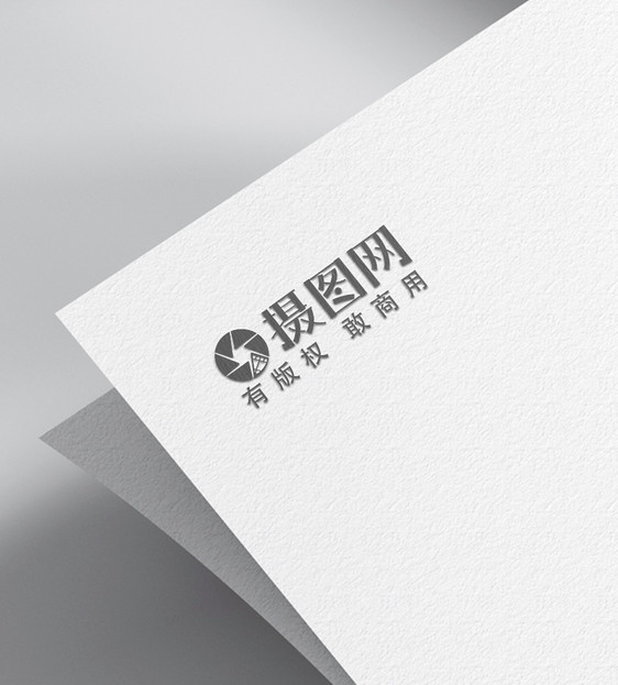 logo品牌样机图片