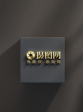 logo品牌样机图片